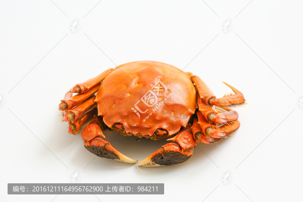 大閘蟹