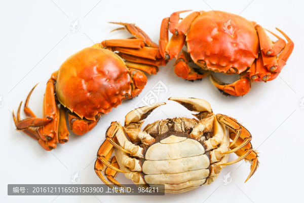 大閘蟹