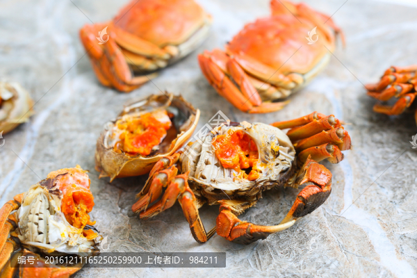 大閘蟹