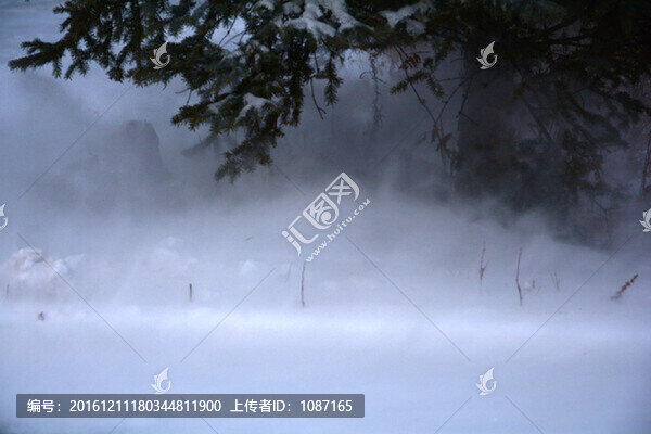 暴風雪