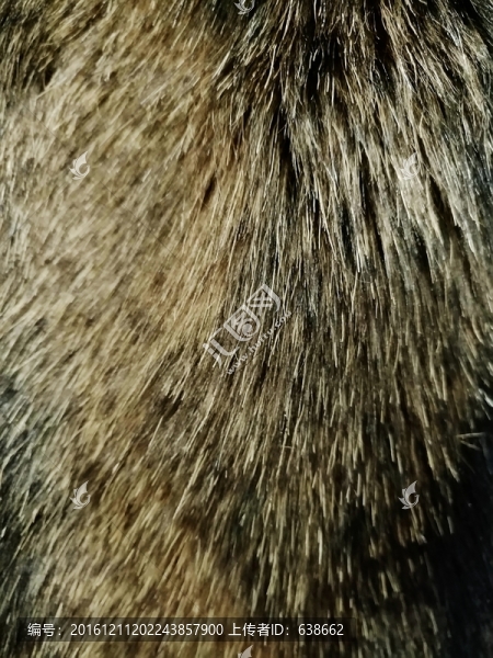 皮毛
