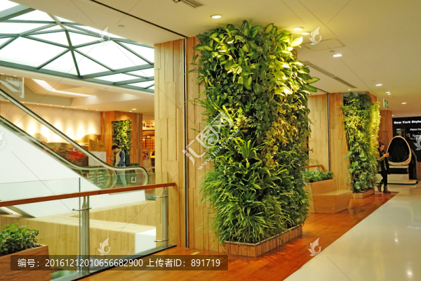 商場內(nèi)景,植物墻,植物造型
