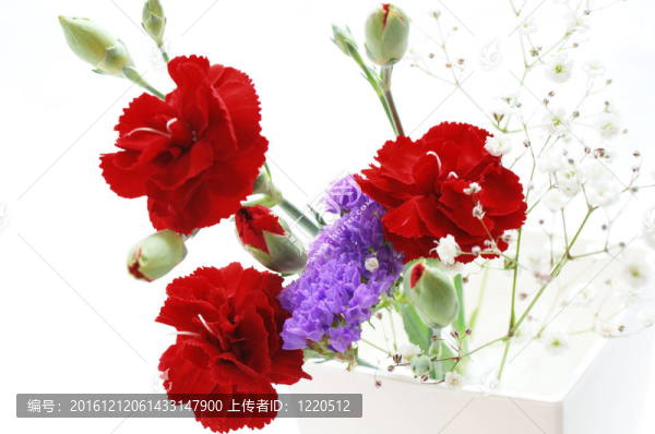 設(shè)置花