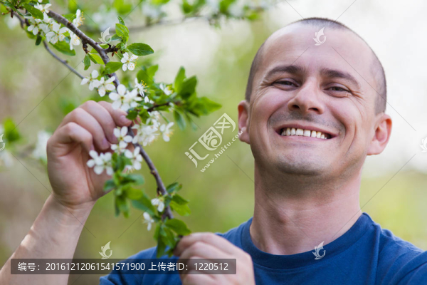 農(nóng)藝師檢查的櫻花