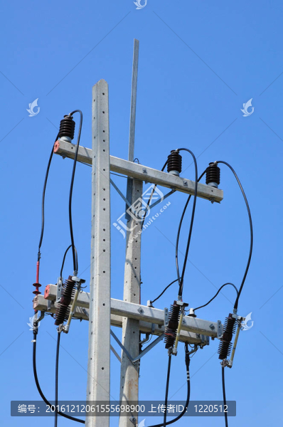 具有電線和絕緣子的混凝土電桿