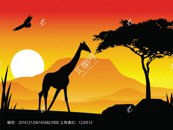 長(zhǎng)頸鹿和鷹的剪影