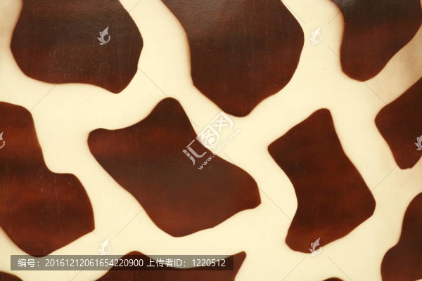 長頸鹿的皮膚紋理