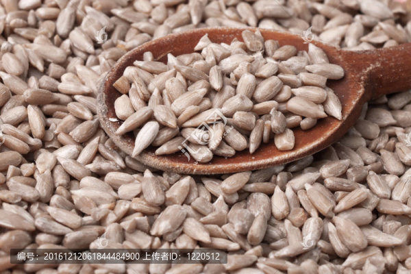 葵花籽-匯圖網(wǎng) www.fosd68.com 葵花籽