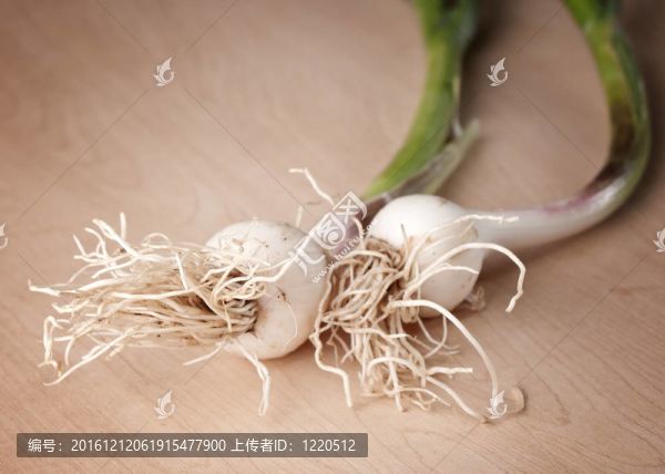 蔥-匯圖網(wǎng) www.fosd68.com 蔥