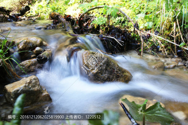 湍急的小溪