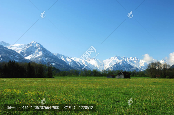 阿爾卑斯山的春天。