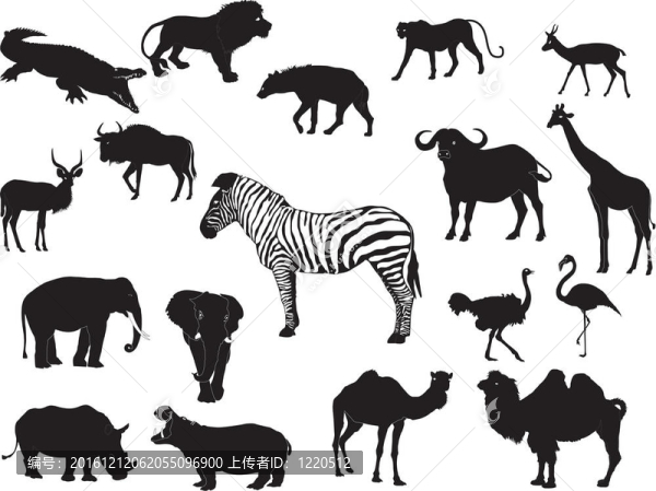 非洲動物系列