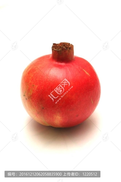 孤立的石榴