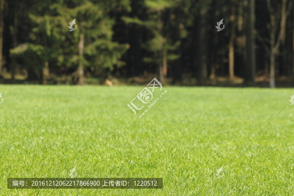 平原草甸結(jié)算