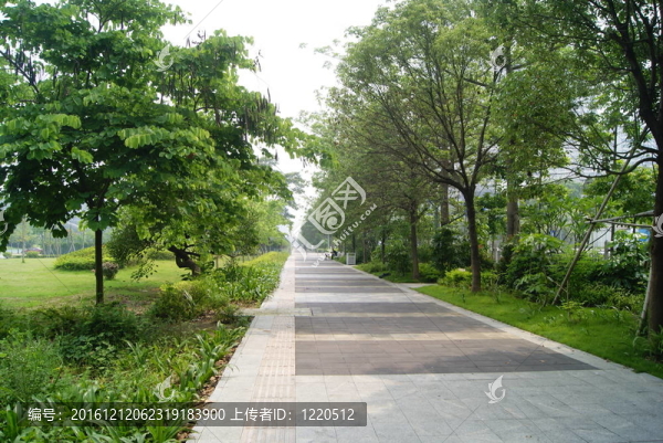 城市道路