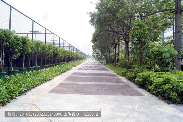 城市道路