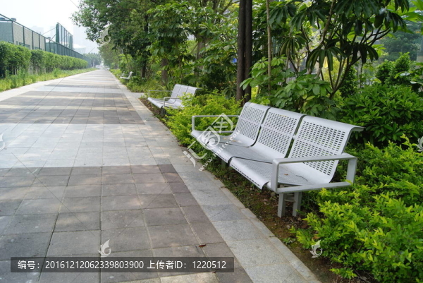 道路和休閑椅