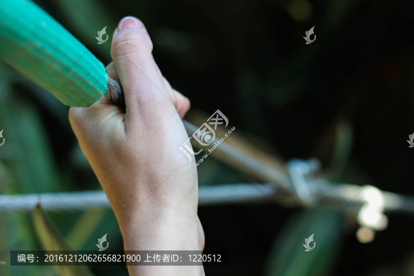 手放在電線電纜上
