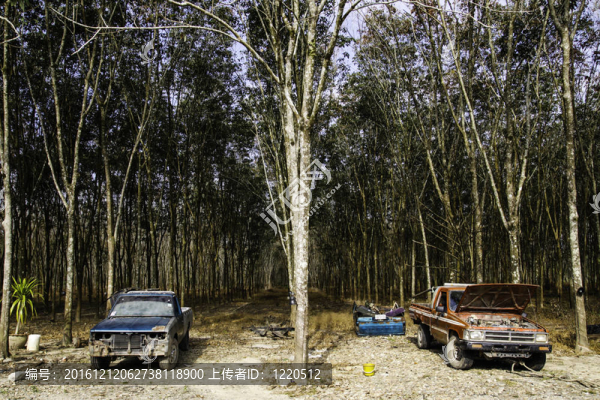 新鮮的走道
