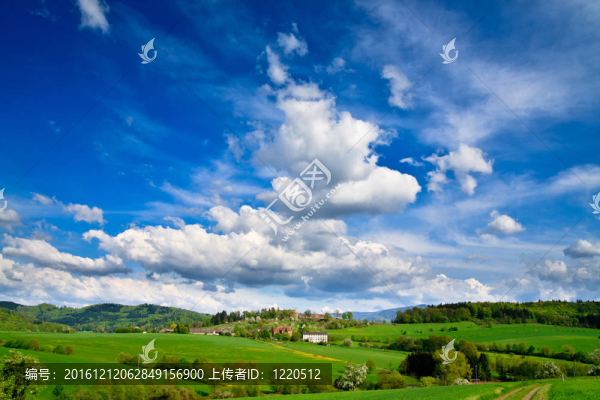 春天的風景-綠色的田野；蔚藍的天空