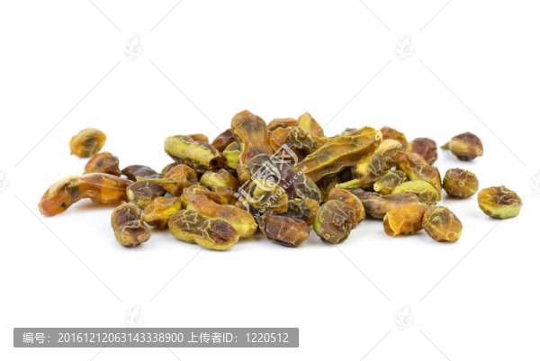 藥材：干燥槐豆