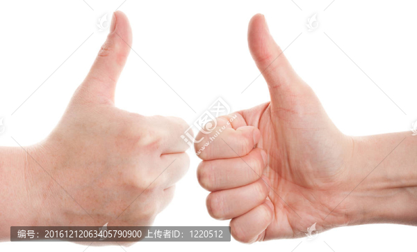手的組合