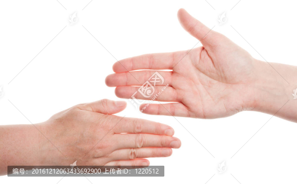 女性的手