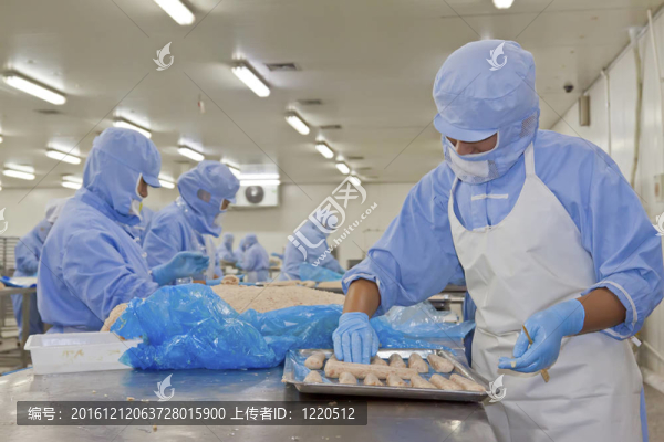 食品加工生產線工人