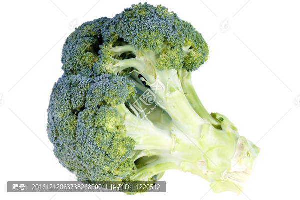 白色背景上西蘭花的特寫