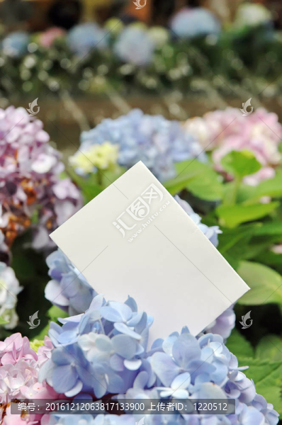 紙坯花