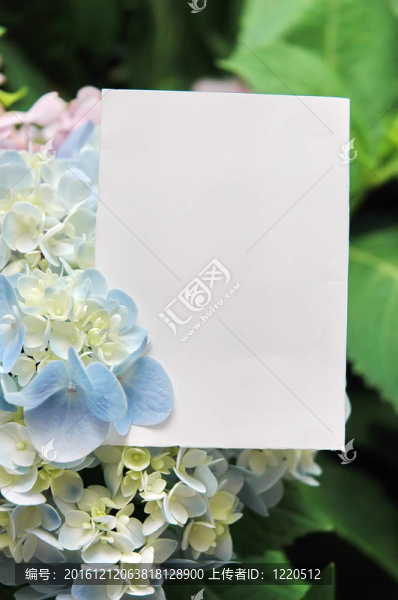 紙坯花