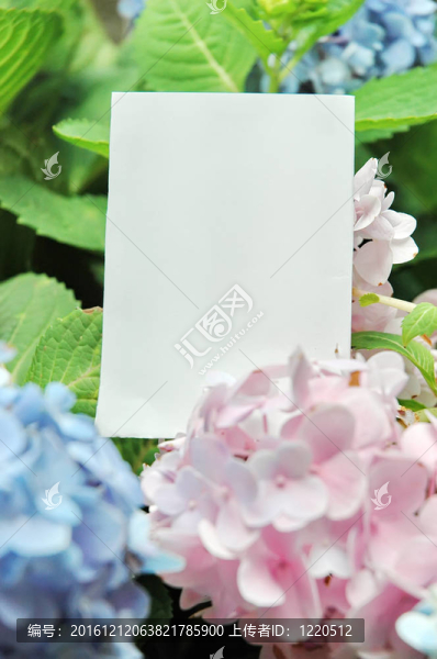紙坯花