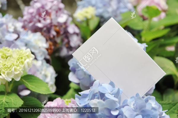 紙坯花