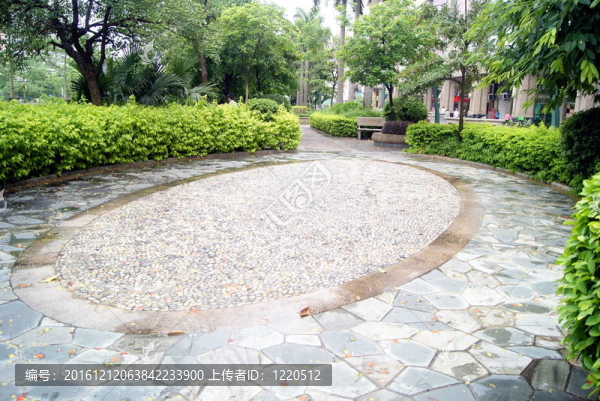公園景觀