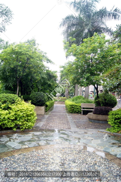 林蔭路