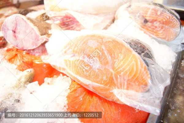 魚的肉