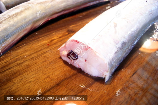 魚的肉
