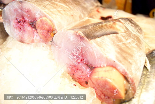 魚(yú)的肉