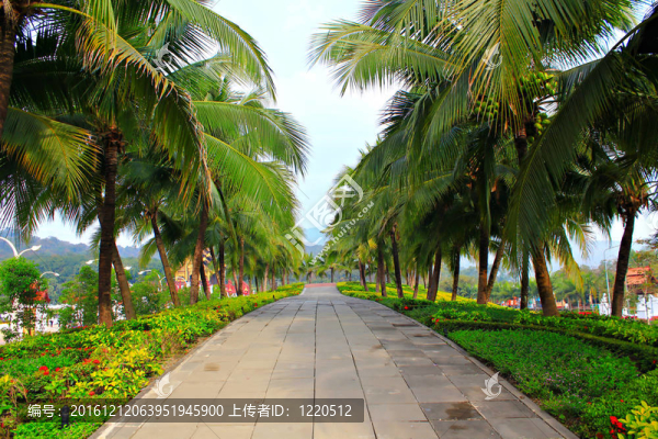綠色公園的石路