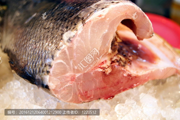 魚的肉