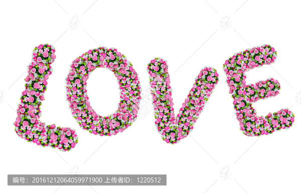 白色的花字母