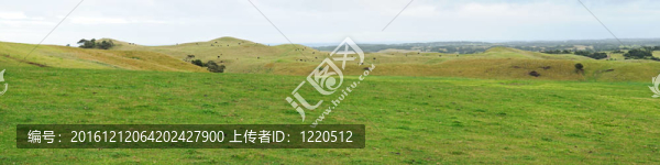 田山全景