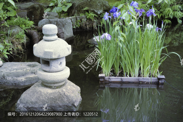 禪池
