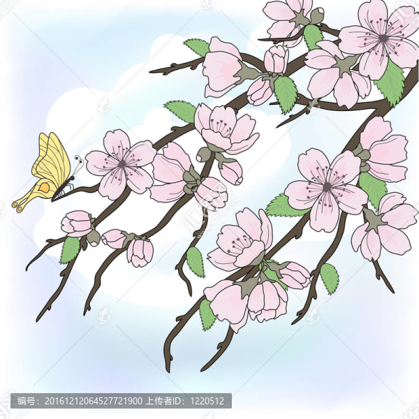 櫻花花枝