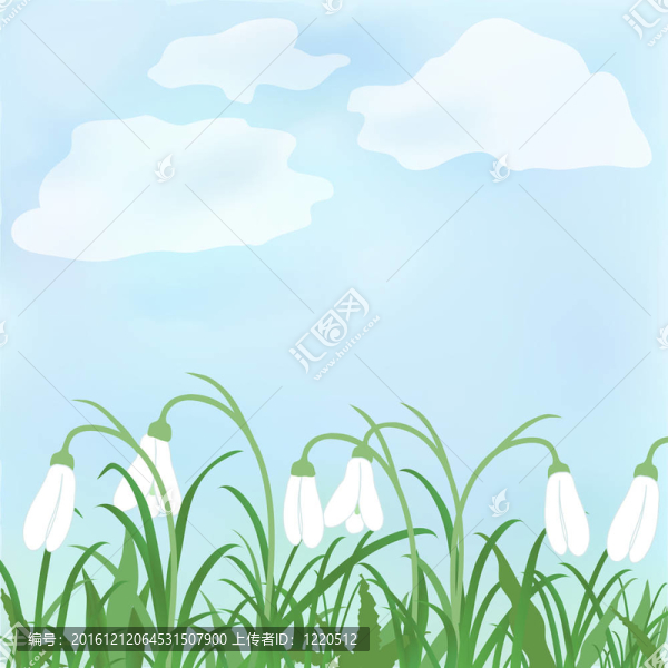春天雪花蓮花對著天空