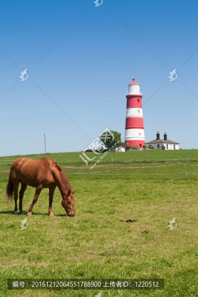 黑斯堡燈塔；Norfolk；英國。