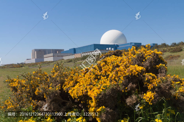 Sizewell,B核電站；薩?？丝?；英國。