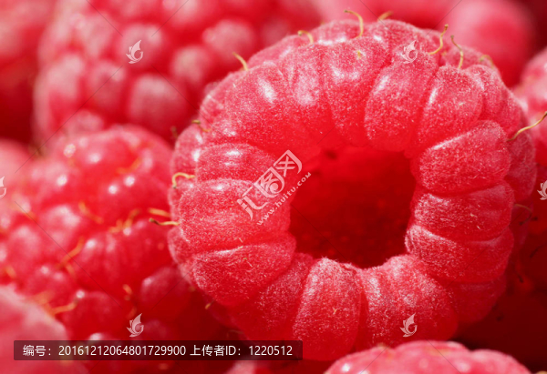 覆盆子