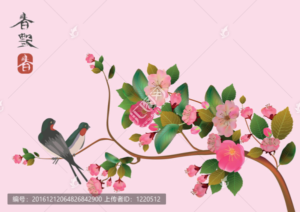 櫻花鳥(niǎo)。明信片。菜單。