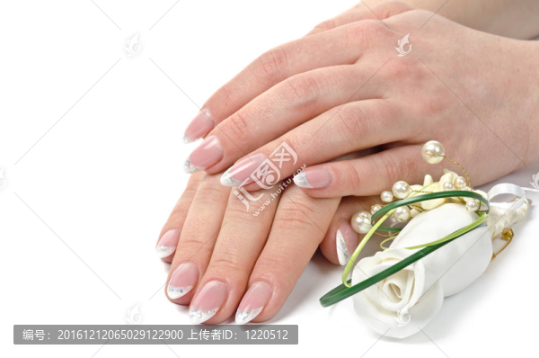 修剪整齊的棕櫚樹-匯圖網(wǎng) www.fosd68.com 修剪整齊的棕櫚樹